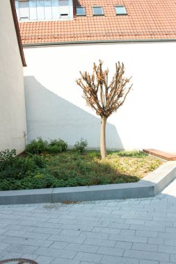 Almanya Stuttgart şehir orman tepeler ve dağlar yemyeşil tropikal orman yağmur ormanlarının arka plan üzerinde