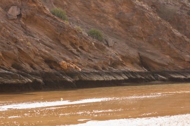 Yiti Muscat Umman plaj dağlar ve arka plan üzerinde sahip bulutlu hava güneşli bir gün