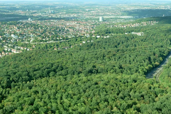 Increíble Vista Del Paisaje Los Hermosos Bosques Montañas Alpinas Campos — Foto de Stock