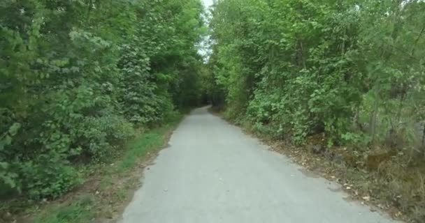 Caminando Por Carretera Vista Lateral Del País Ciudad Europa Camino — Vídeos de Stock