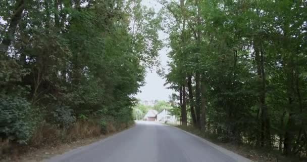 走在路左边看法欧洲的其他城市路黑顶和泥泞的路斯图加特德国 — 图库视频影像