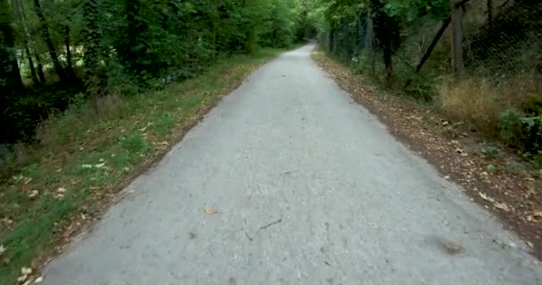 ヨーロッパ道路ブラック トップの差し出した市観道国の側面の上を歩くと道路シュトゥットガルト ドイツの泥 — ストック動画