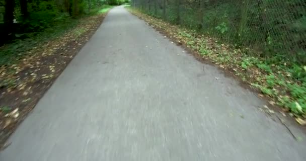ヨーロッパ道路ブラック トップの差し出した市観道国の側面の上を歩くと道路シュトゥットガルト ドイツの泥 — ストック動画