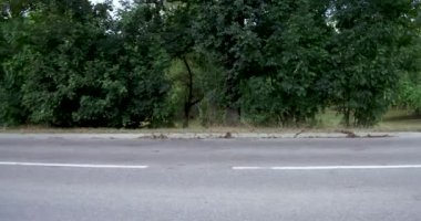 Avrupa yol siyah top dış şehri görüntülemek ve yol Stuttgart Almanya çamurlu yol ülke tarafında yürüyüş