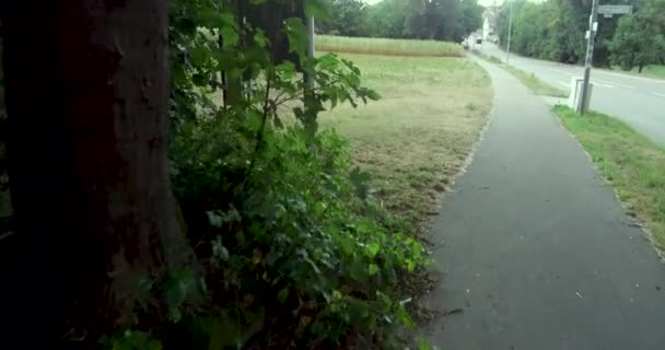 Cultivos Las Granjas Verdes Tierras Ciudad Hermosos Fondos Pantalla Fondos — Vídeos de Stock