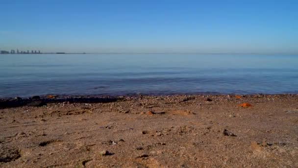 Seorang Pria Berjalan Sepanjang Pantai Berpasir Melawan Laut Dan Melempar — Stok Video