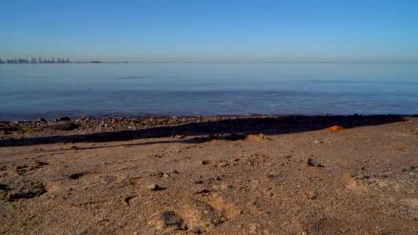 男は砂浜に沿って海に向かって歩き 近くに砂の上に使い捨ての医療用マスクを投げます ウイルスからの隔離の終わり — ストック動画