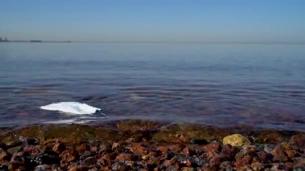 海岸近くの海に投げ込まれた医療用マスクを使用 隔離と隔離を終わらせるという概念 自由よ 閉めろ ソフトフォーカス — ストック動画