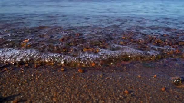 Güneşli Bir Havada Denizde Dalgalar Gün Boyunca Sahilde Sakin Deniz — Stok video