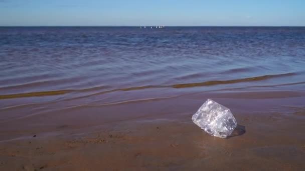 プラスチックから海の海岸をきれいにする 夏に砂浜でプラスチックごみを集める男のクローズアップ 環境汚染の概念 人間のゴミ — ストック動画