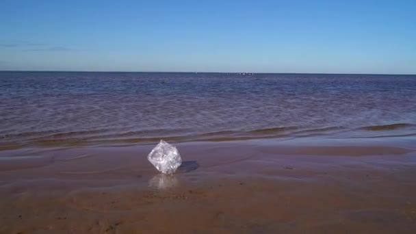 晴れた日にきれいな砂浜でプラスチックボトルのクローズアップ 環境汚染の概念 水のプラスチック汚染 人間のゴミ — ストック動画