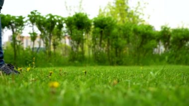  Çimlerin üzerindeki ayak izleri bulanık bir arka planla büyük. Baharda parlak yeşil çimlerde yürüyen spor ayakkabılı ve kot pantolonlu bir adamın ayaklarının yakın çekimi. Yavaş çekim.