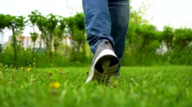  Çimlerin üzerindeki ayak izleri bulanık bir arka planla büyük. Baharda parlak yeşil çimlerde yürüyen spor ayakkabılı ve kot pantolonlu bir adamın ayaklarının yakın çekimi. Yavaş çekim.