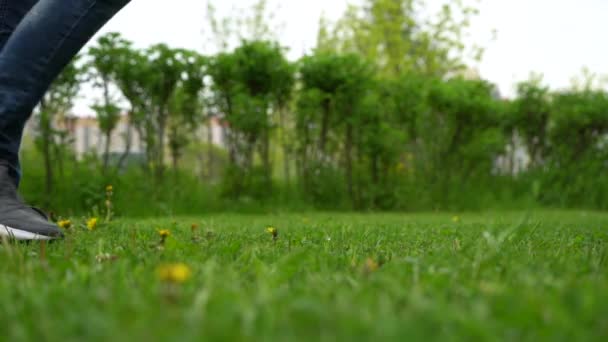 Footsteps Grass Large Blurred Background Close Man Feet Sneakers Jeans — Stock Video