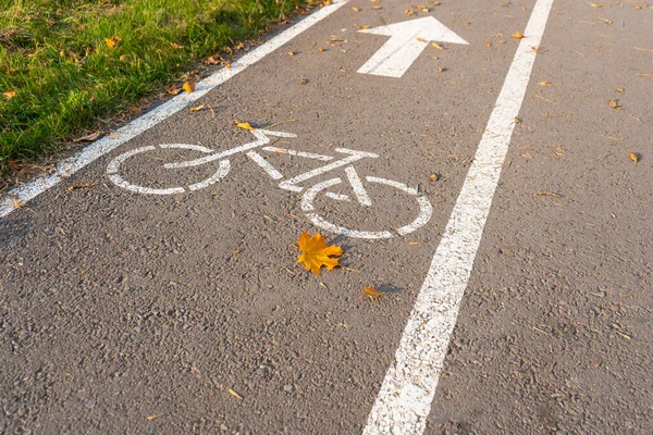 Bike path in the autumn Park. A symbol of cycle paths on the pavement