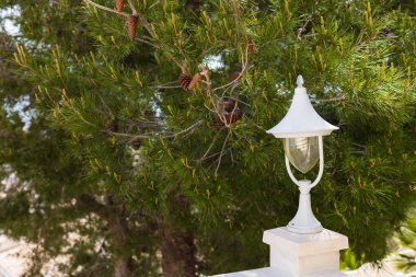 Bir Akdeniz bir arka plan üzerinde Bahçe bir fener koniler ile bahar öğleden sonra çam. Bahçe dekoratif öğe. Seçici odak