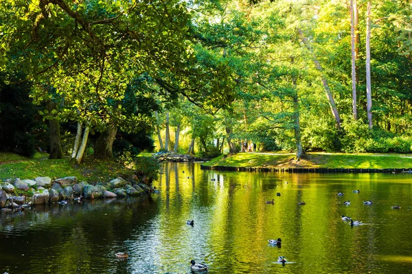 Bir göl ve ördekler ile güzel bir sonbahar park görünümünü
