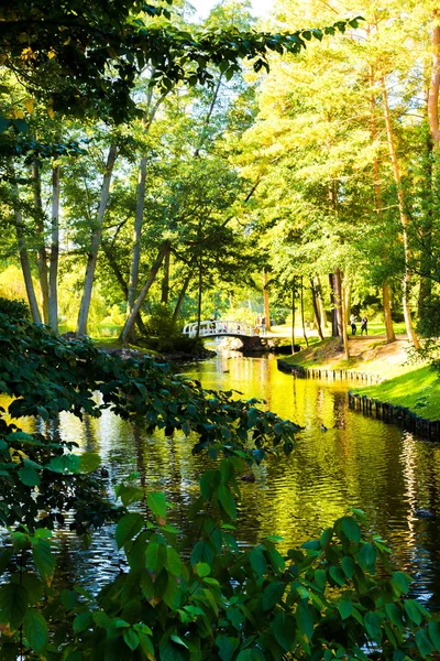 Beyaz köprü bir sonbahar park bir göl üzerinde.