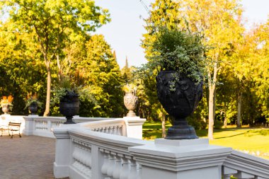 Bir vazo antika rakamları ile sonbahar park donatır