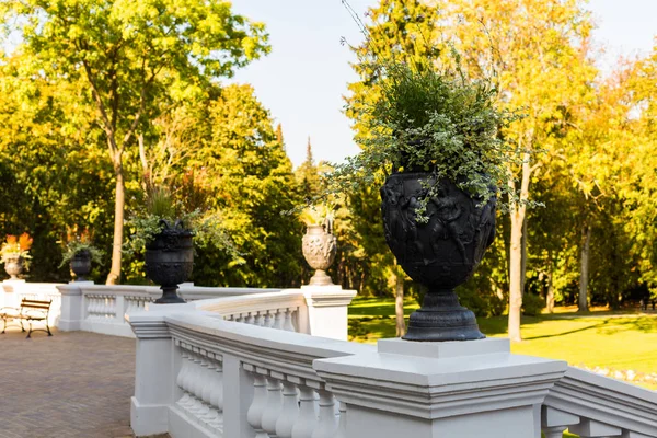 Bir vazo antika rakamları ile sonbahar park donatır