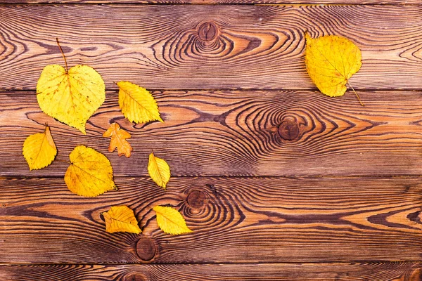 Осень листья границы на фоне старого дерева — стоковое фото