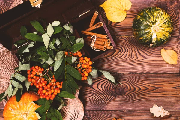 Fondo otoñal con mini-calabazas, canela y rama de serbal en un cofre de madera sobre una mesa de madera de estilo rústico. Copiar espacio —  Fotos de Stock