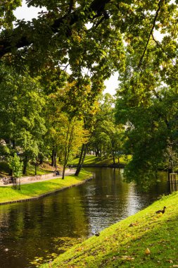 Bir göl ile güzel bir sonbahar park görünümünü