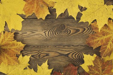 Sonbahar renkli akçaağaç çerçevesinde metni veya nesneyi yerleştirmek için ahşap bir masaya bırakır