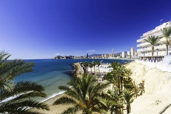 Poniente Strand Mit Palmen Hafen Wolkenkratzern Und Bergen Benidorm Spanien — Stockfoto