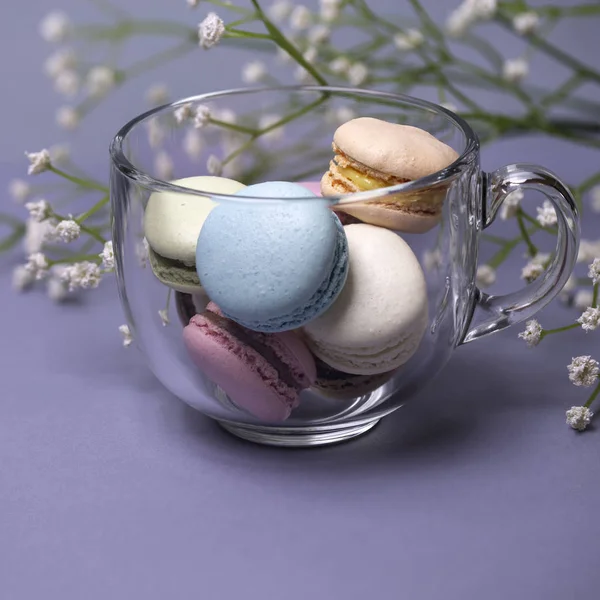 Colorful Macaroons Large Glass Cup Gypsophila Flower Gray Blue Background — Stock Photo, Image