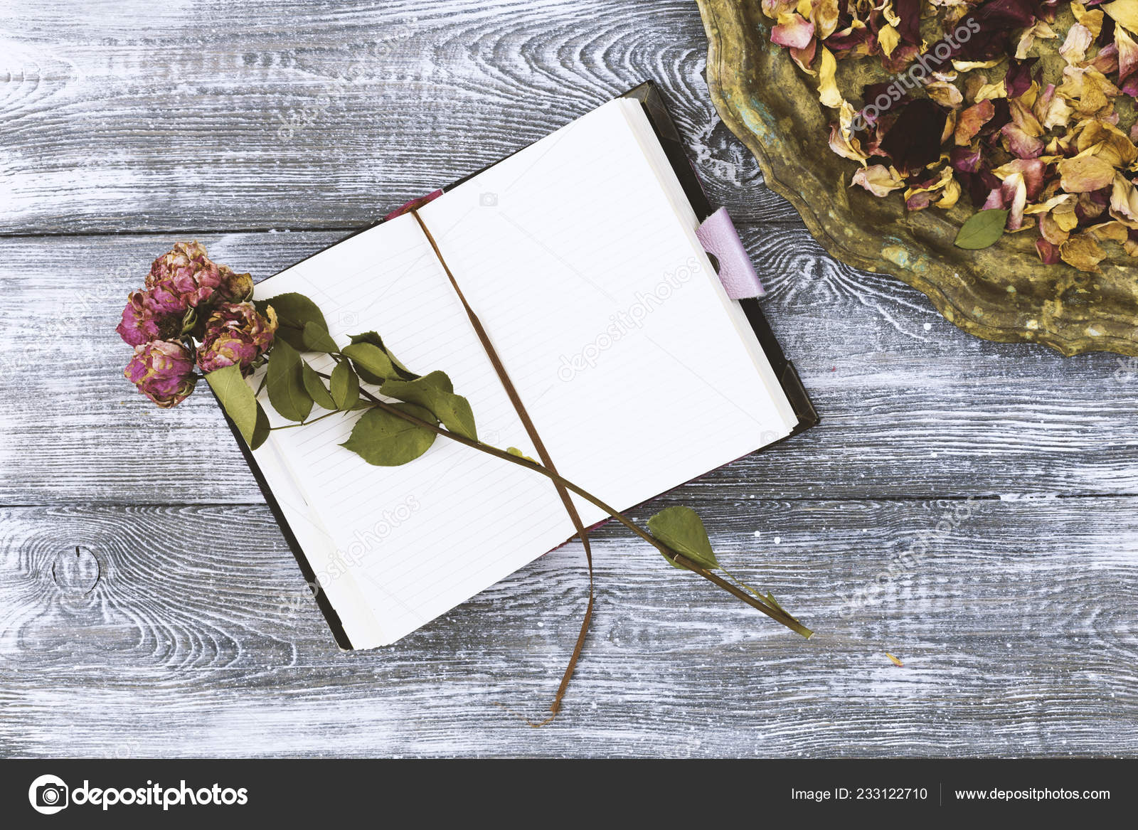 Press Dried Rose Flower Petals, on Note Book Page, with Copy Space, Vintage  Tone Stock Image - Image of background, dried: 83692477