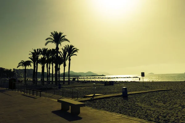 Siluetter Palmer Stranden Vid Solnedgången Fantastisk Kväll Landskap Spanien — Stockfoto