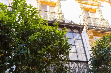 Geleneksel evleri cepheler Andalusia, İspanya Sevilla şehir güzel dövme demir balkon