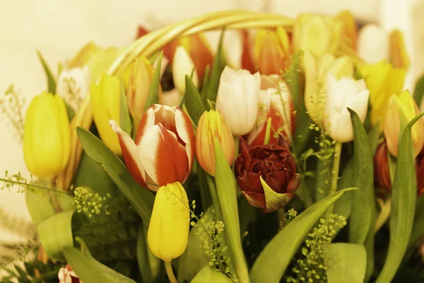 Spring flowers banner - a bouquet of multi-colored tulips on a beige background