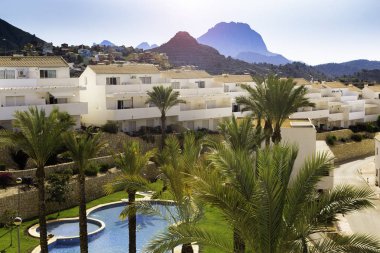 Tropikal Yüzme Havuzu, dağlar ve avuç içi arka plan