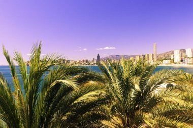 Gökdelenler ve dağlar ile Benidorm Ispanya şehrinin panoramasının arka planda palmiye ağaçları.