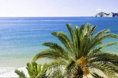 Yazlık plaj-palmiye ağacı, kaya, beyaz kum, deniz suyu, tropikal doğa.