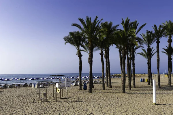 Villajoyosa, Costa Blanca, Spagna - 3 luglio 2018: Spiaggia di palme — Foto Stock