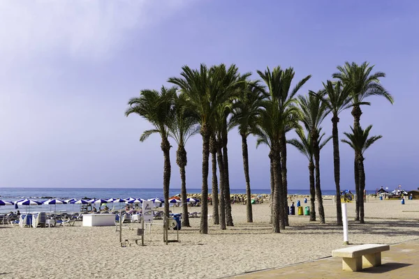 Villajoyosa, Costa Blanca, Spanyolország-július 3, 2018: panorámával a pálmafákkal rendelkező strand. — Stock Fotó