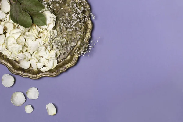 Top vy av vita torra rosenblomblad på en gammal-tid mässing bricka på en blå bakgrund. Höst komposition med plats för text. — Stockfoto