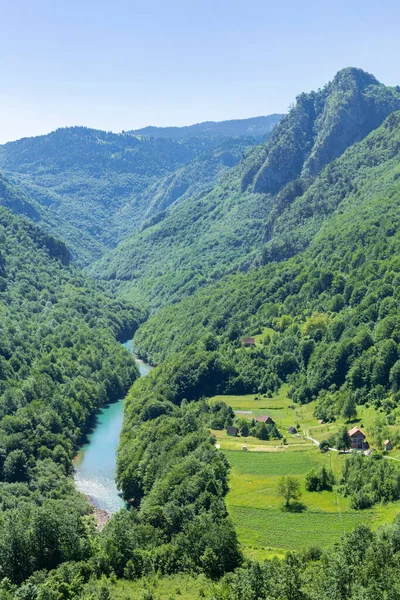 Vista superior del río Tara y montañas cubiertas por bosques de coníferas, el pueblo se encuentra en la garganta, Montenegro, Europa . — Foto de Stock
