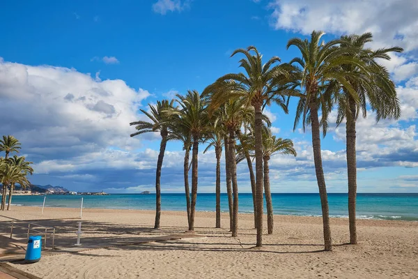 해변에 야자나무들 바다를 배경으로 태양에 아름다운 구름이 하늘을 배경으로 스페인 — 스톡 사진