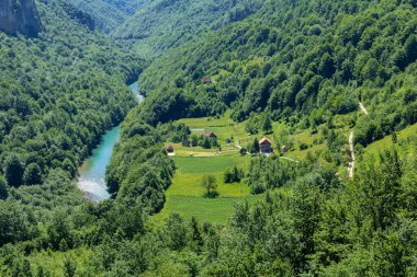 Dağ nehri manzarası Tara ve kozalaklı ormanlarla kaplı dağlar, köy Karadağ, Avrupa geçidinde yer alıyor..