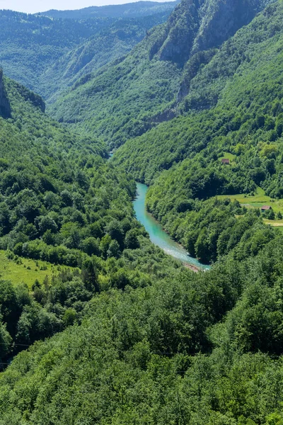 Vista Superior Sobre Río Montaña Tara Montañas Cubiertas Por Bosques — Foto de Stock