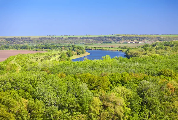 Природні Краєвиди Повітря Зеленим Лісом Річкою — стокове фото