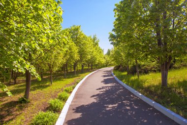 Kent parkta asfalt asfalt