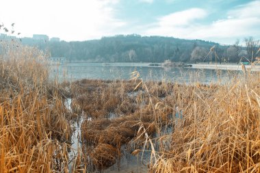 Gölde geç sonbaharda