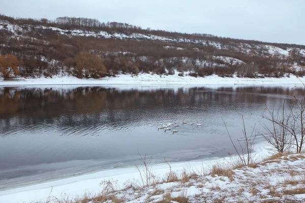 Река Зимой — стоковое фото
