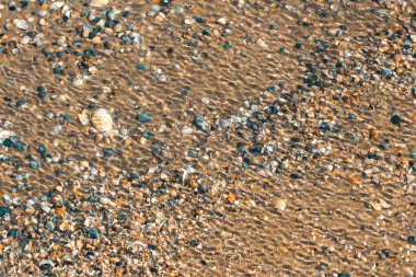 su ile kaplı kabukları