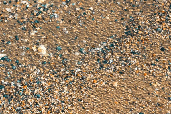 su ile kaplı kabukları